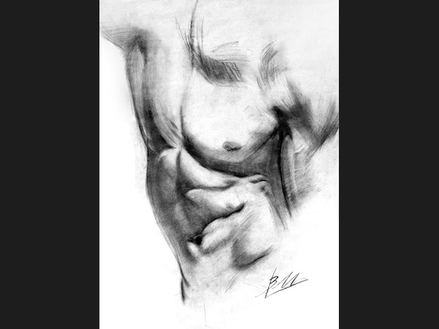 Torso